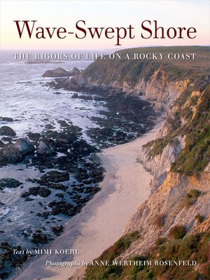 cover image of Wave-Swept Shore